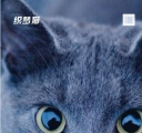 手机版首页