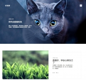 首页