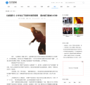 文章页