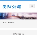 手机案例展示