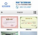 资质W