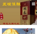 手机新闻资讯