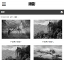 手机图片列表