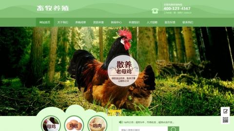 绿色家禽畜牧养殖行业织梦模板(带手机端)
