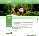 新闻内容页