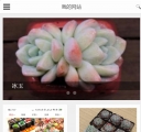 M首页