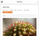M商品详情