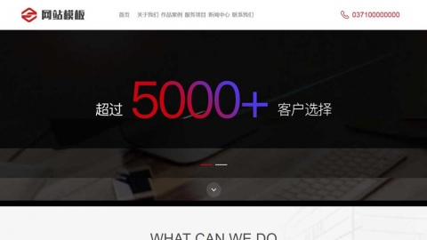 红色商务服务类行业网站通用模板
