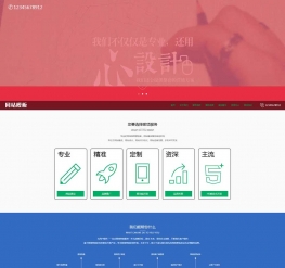 红色网络服务类公司行业网站模板