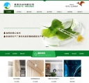 网站首页
