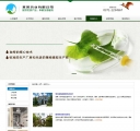 新闻列表