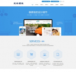 蓝色网络服务企业公司网站模板