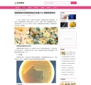 文章页