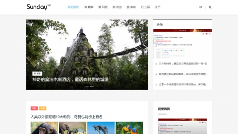 响应式简洁自媒体博客主题织梦模板