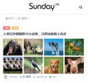M列表