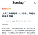 M文章页