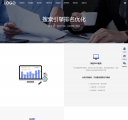 网站优化
