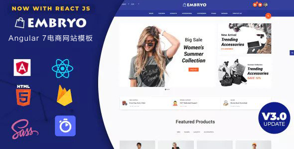 Angular7电子商务模板ReactJS商城模板