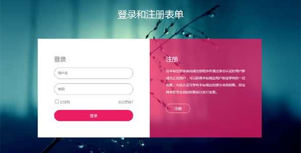 html登录表单和弹出注册小部件