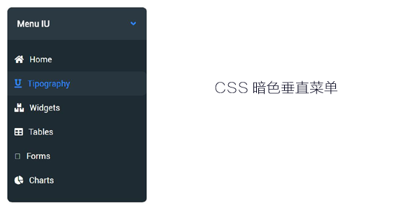 CSS暗色垂直菜单带图标