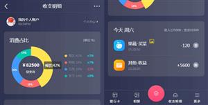 vue+echarts收支明细手机页面