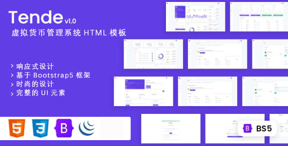 响应设计货币管理系统HTML5模板