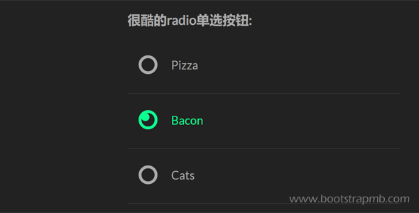 很酷的radio单选按钮