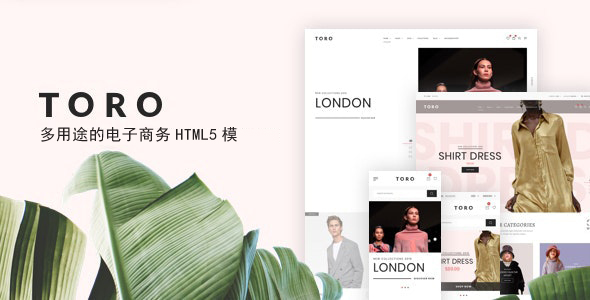 19种电商零售网页模板HTML5源码