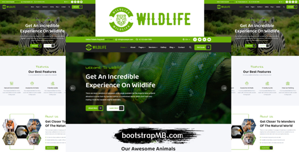 三种样式动物园网站html5模板 - Wildlife