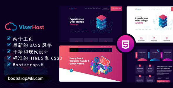 时尚的服务器域名业务HTML模板 - ViserHost