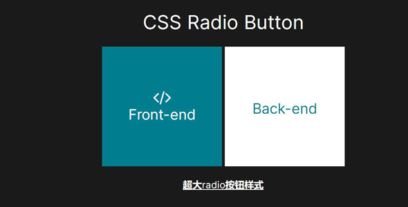 超大radio按钮样式