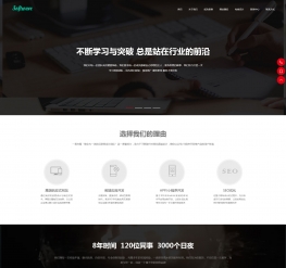 网站建设营销类网站织梦模板(自适应手机端)