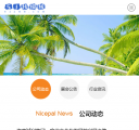 M新闻中心
